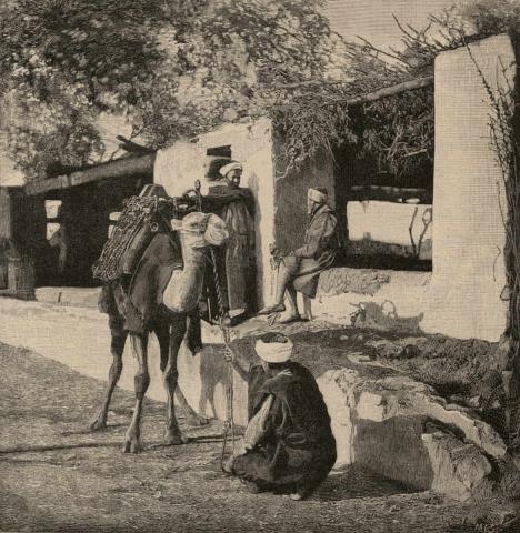 Camels and camel drivers (Robecchi Bricchetti 1890)